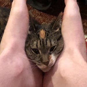 Meet your Posher, Katelyn